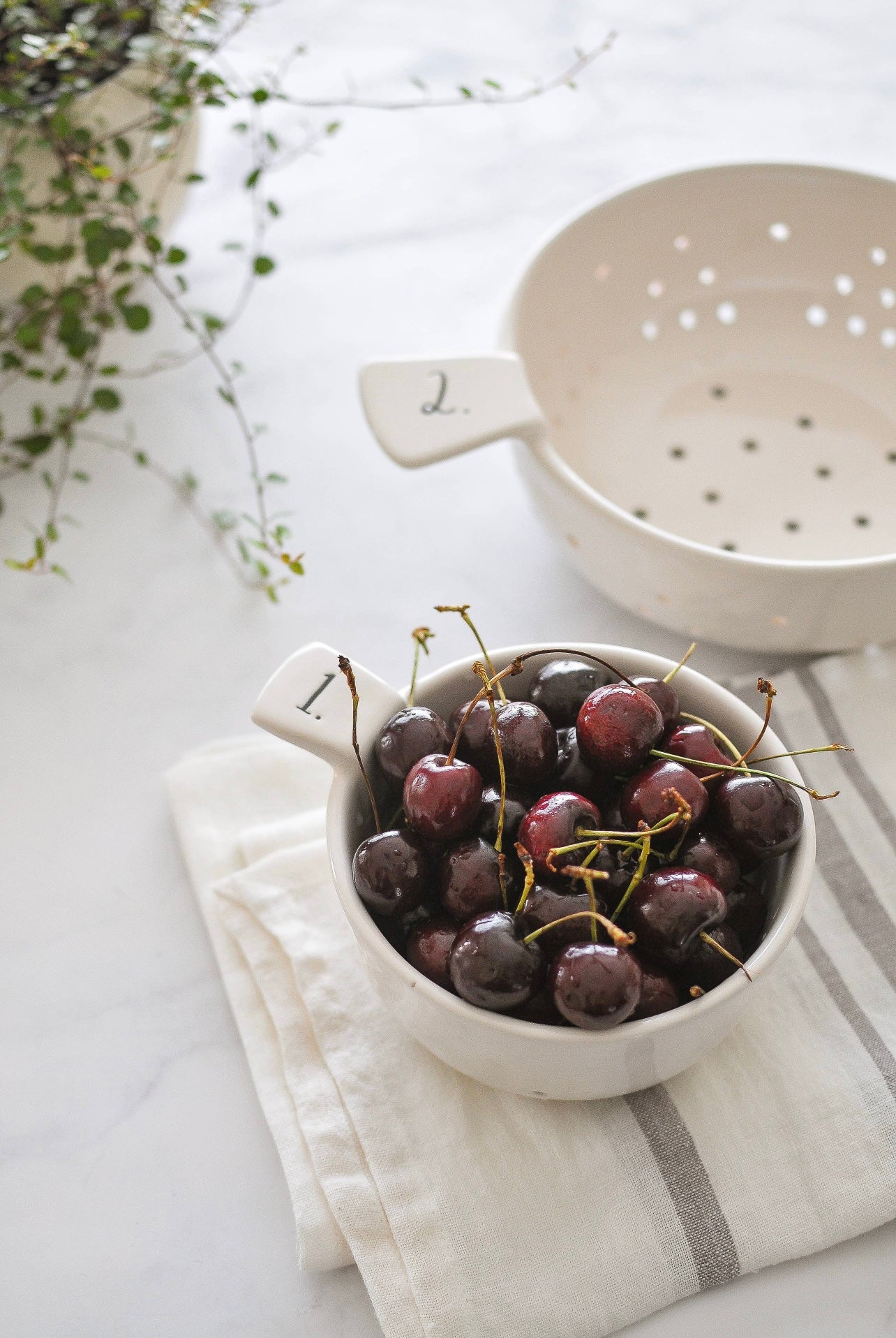 RAE DUNN STEM PRINT COLANDER SET OF 2